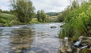 mesurer nitrates dans une riviere